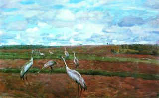 Cranes