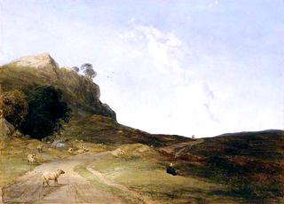 Moorland Landscape