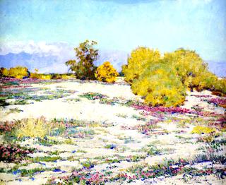 Desert Verbena, Palm Springs