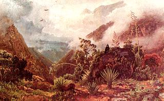 Landscape in the Andes