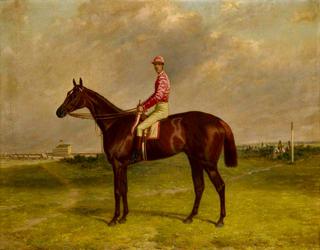 'Hermit' with Jockey at Epsom