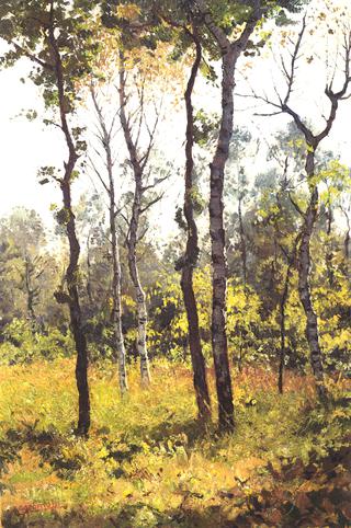 Yellow Wood