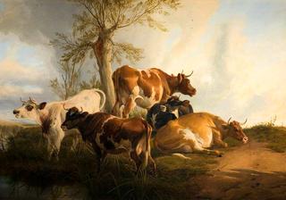 Cattle Scene