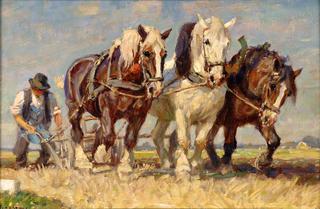 Ploughing