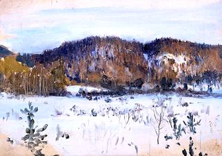 Winter Landscape