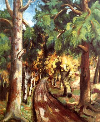 Forest Path