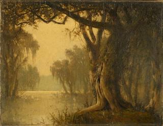 Louisiana Bayou Landscape