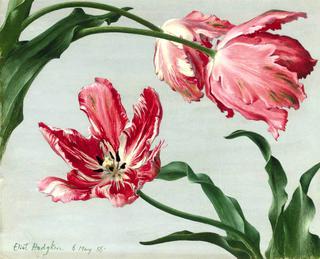 Three Pink Tulips