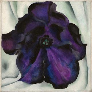 Untitled (Purple Petunia)