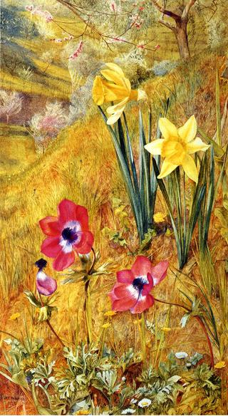 Anemones and Daffodils