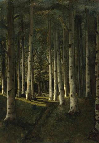 The Birch Grove