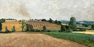 Harvest Fields, Duton Hill, near Dunmow