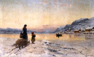 Winter Day by the Fjord