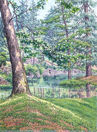 A Small Pond