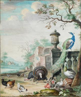 A Peacock, A Parrot and other Exotic Birdes in a Park Landscape