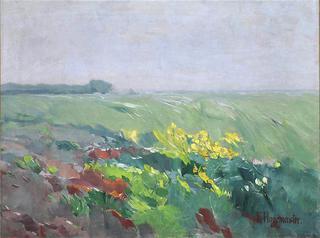 Blossoming Summer Landscape