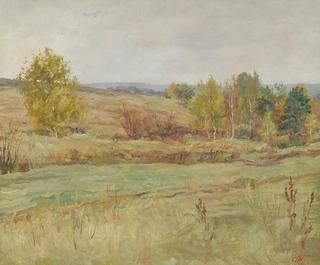 Landscape