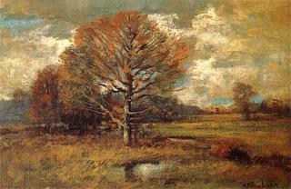 Fall Fields
