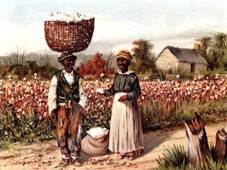 Sharecroppers in the Cotton Field