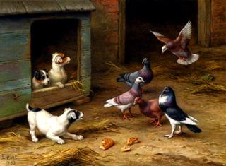 Puppies and Pigeons playing by a Kennel