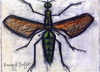 Insect