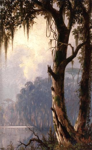 Louisiana Landscape