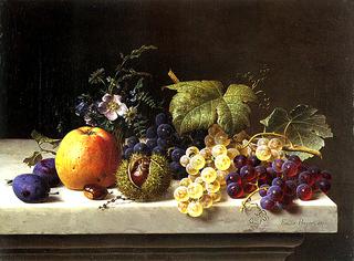 Still life