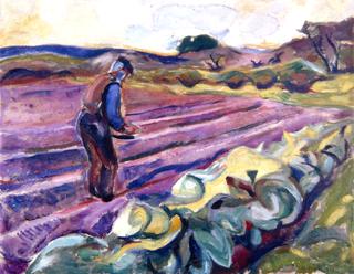 The Sower