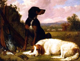 The Day's Bag: Guns Dogs and Game