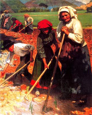 Trabajando en el Campo