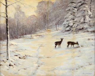Forest Glade in Winter