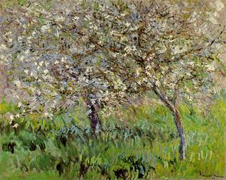 Apple Trees in Bloom at Giverny