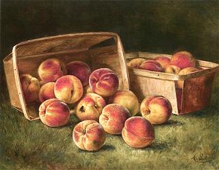 Basket of Peaches
