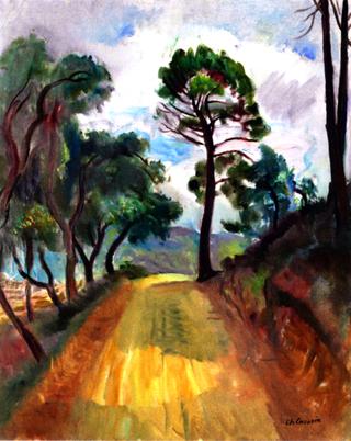 Road to Grimaud with Pines