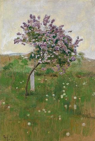 Lilac Tree