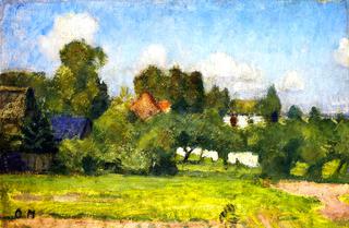 Summer Landscape