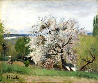 Fruit Tree in Blossom, Bois-le-Roi