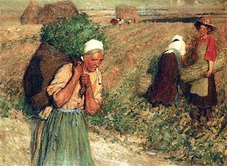 The Harvest Field