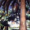 安提比斯棕榈树