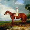 1844年橡树队冠军“公主”与骑师