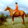 弗朗西斯·亚历山大·沃利切·惠特莫尔，骑着栗色的马，“白腿”