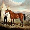 布里格斯爵士，卓德嘉勋爵的马，17骑兵，（1854年，在克里米亚的营地，在巴拉克
