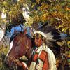 印第安酋长和小马