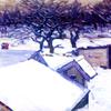 积雪的屋顶