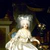 普罗旺斯伯爵夫人玛丽-约瑟芬-路易丝的肖像