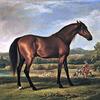 博林布鲁克勋爵的小马，后来被认定为“灵长类”