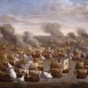 德克塞尔战役（基杰金），1673年8月21日
