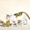 猫和小猫
