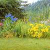 In a Surrey Garden, Brook, near Witley