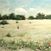 闪闪发光的树